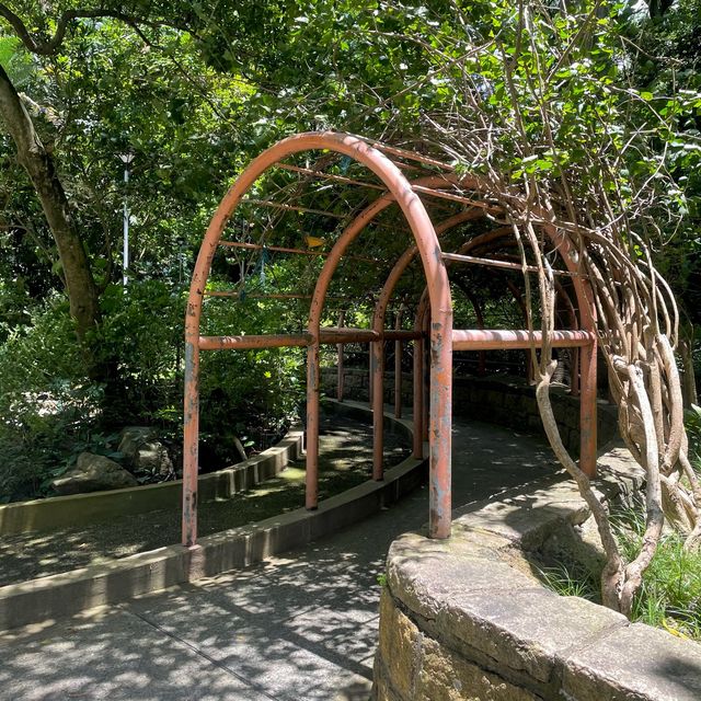 🌈隱世後花園-中葵涌公園