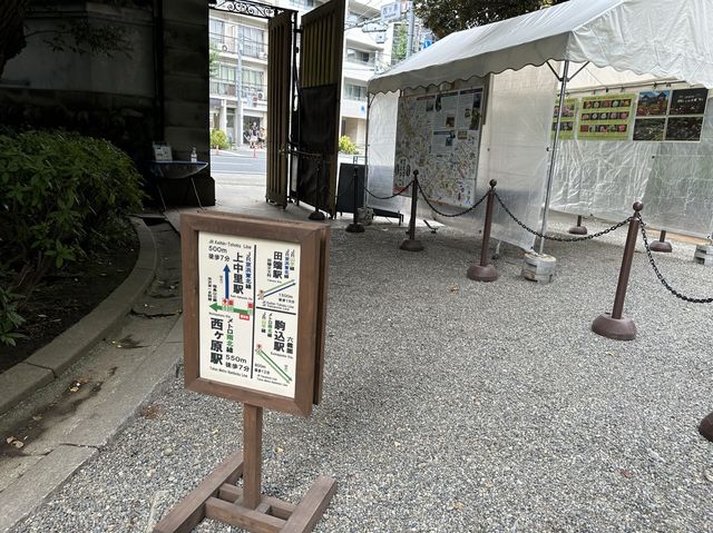 東京・北区。バラの季節には多くの品種の花が咲き誇るそうです『旧古河庭園』