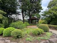 東京・北区。バラの季節には多くの品種の花が咲き誇るそうです『旧古河庭園』
