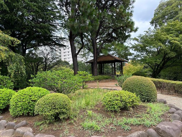 東京・北区。バラの季節には多くの品種の花が咲き誇るそうです『旧古河庭園』