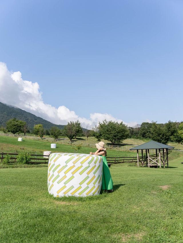 【岡山県/蒜山】期間限定マスキングテープに彩られた街