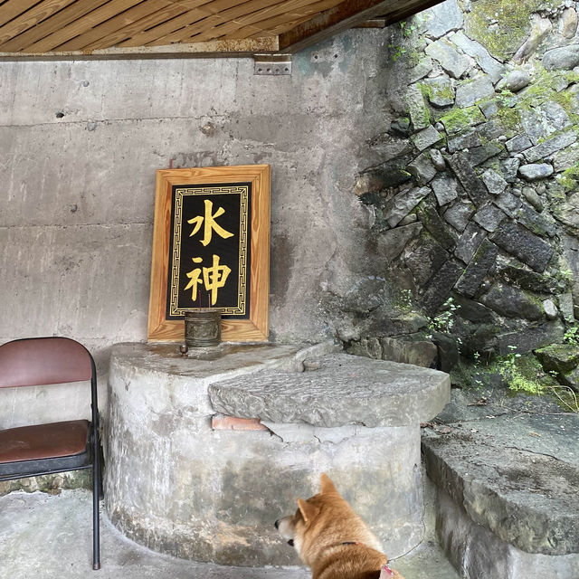 ✨水汴頭土地公廟✨