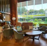 제주 호캉스 🏨 메종 글래드 제주 - 수영장 , 디럭스 트윈룸 , 베이커리 