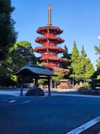 一個毫不起眼,旺中帶靜的都市"川崎"