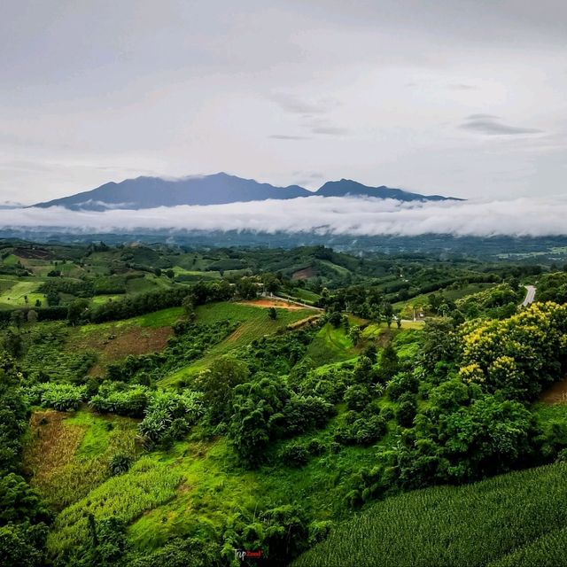 ที่พักกิ่วม่วง น่าน ชมหมอก วิวดอยภูคา 