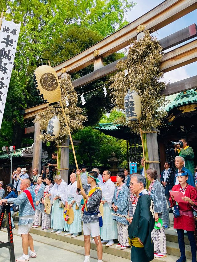 【東京都/牛嶋神社】大神輿 連合宮入渡御