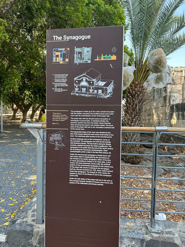 The Capernaum Synagogue 