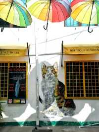 The colours of George Town, Penang 