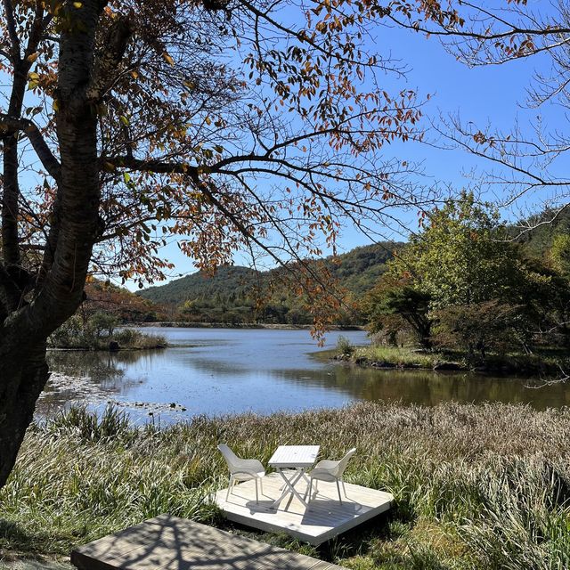 핑클 캠핑클럽 촬영지 화랑의언덕🍃🌳