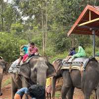 PARADISE OF KERALA