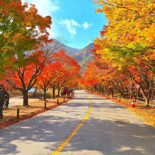 Beautiful Autumn of Beonjusa Temple 