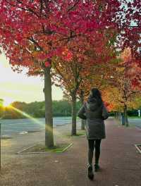 The Beautiful Warm Colors of Autumn in UK