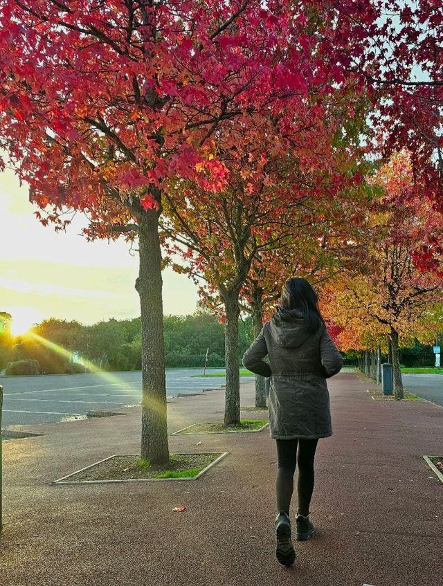 The Beautiful Warm Colors of Autumn in UK