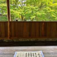 苔寺🕉充滿意境的「西芳寺」