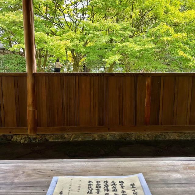 苔寺🕉充滿意境的「西芳寺」