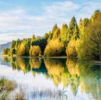 Fall in Twizel and the Mackenzie 