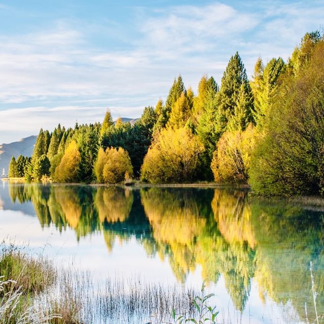 Fall in Twizel and the Mackenzie 