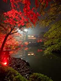 【これが無料で見れる！？🍁】八芳園で開催中の紅葉ライトアップが美しすぎる！✨