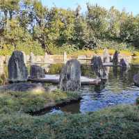 「鈴蟲寺」：京都嵐山地區佛教寺院，最佳季節遊覽