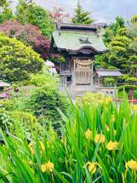 【青森県/廣田神社】2023年行ってよかった！青森県の神社②