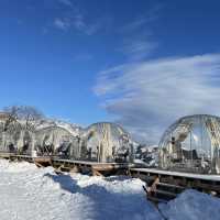 Ski Resort near Tokyo