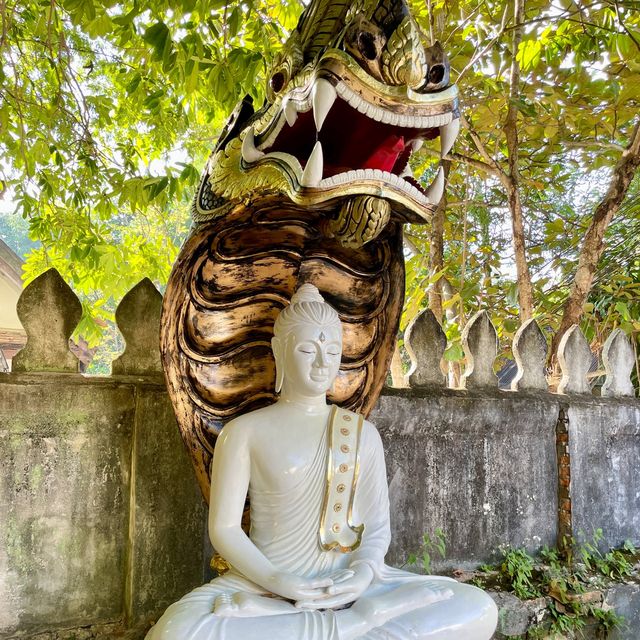 Guardians Embrace at Wat Choum