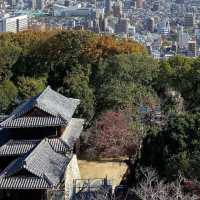🏯 마쓰야마시의 전경을 한눈에 구경할 수 있는 마쓰야마성💙
