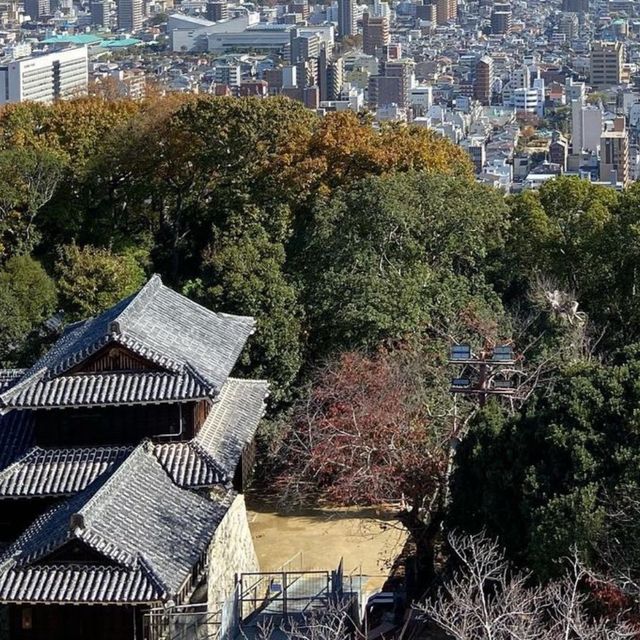 🏯 마쓰야마시의 전경을 한눈에 구경할 수 있는 마쓰야마성💙