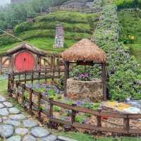 Hobbitoon Village
