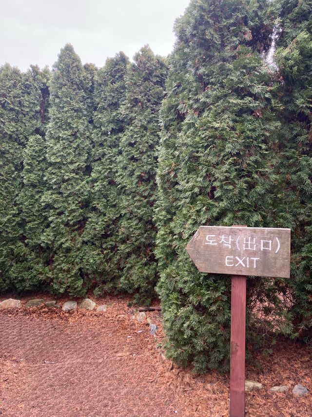 안면도에서 이색데이트로 추천! 안면도 미로공원