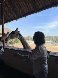 Safari World