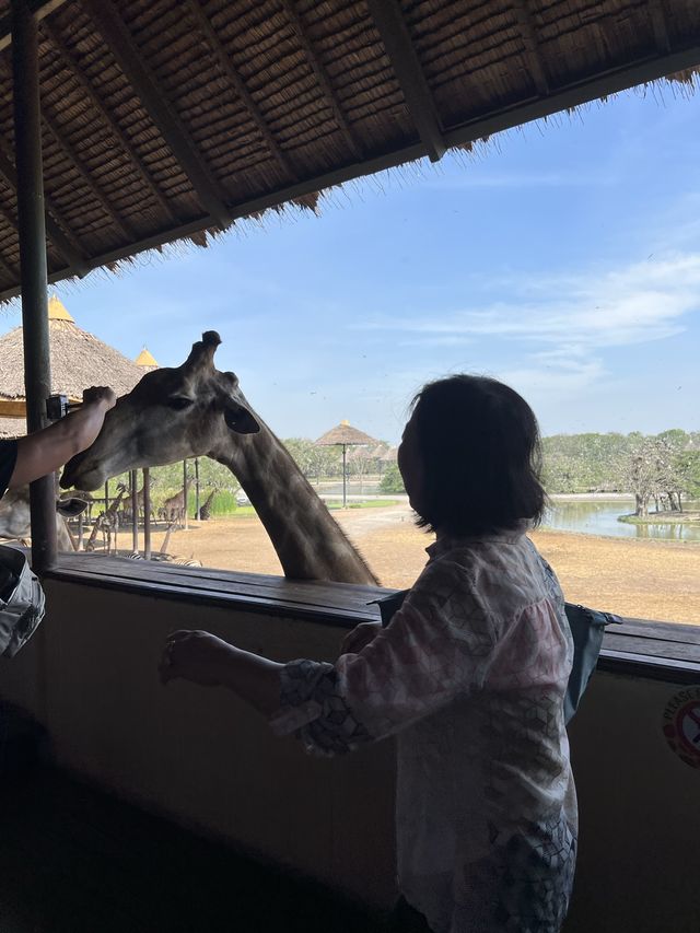 Safari World