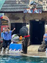 Safari World