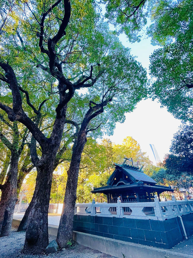 【東京都/熊野神社】増上寺の鬼門封じの神社