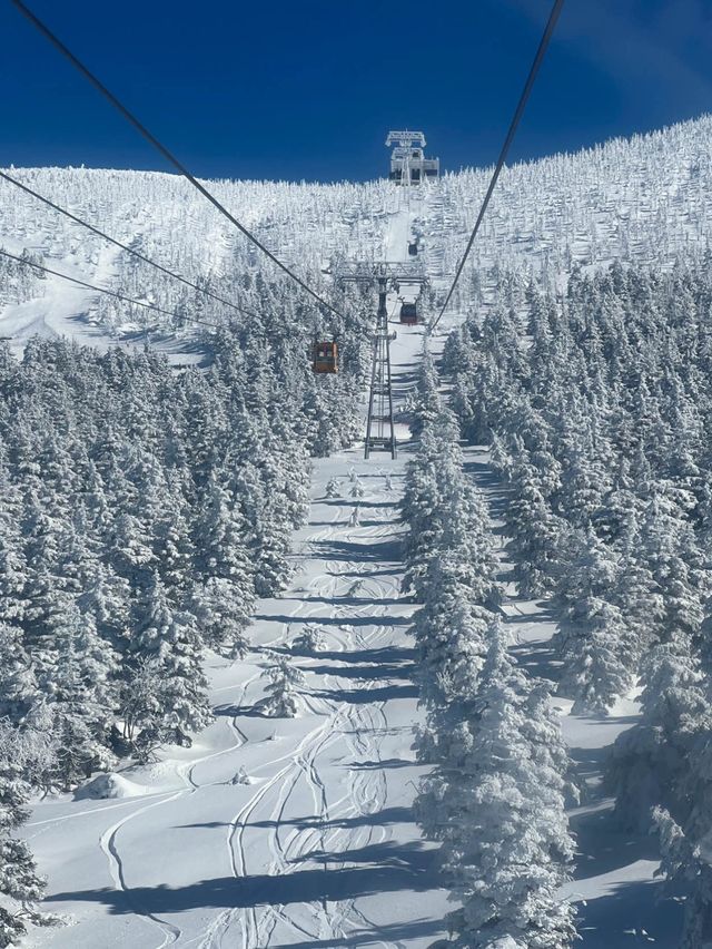 藏王連峰：宮城縣的四季奇景🏔️⛷️