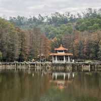 深圳仙湖植物園，愛花人士必到景點