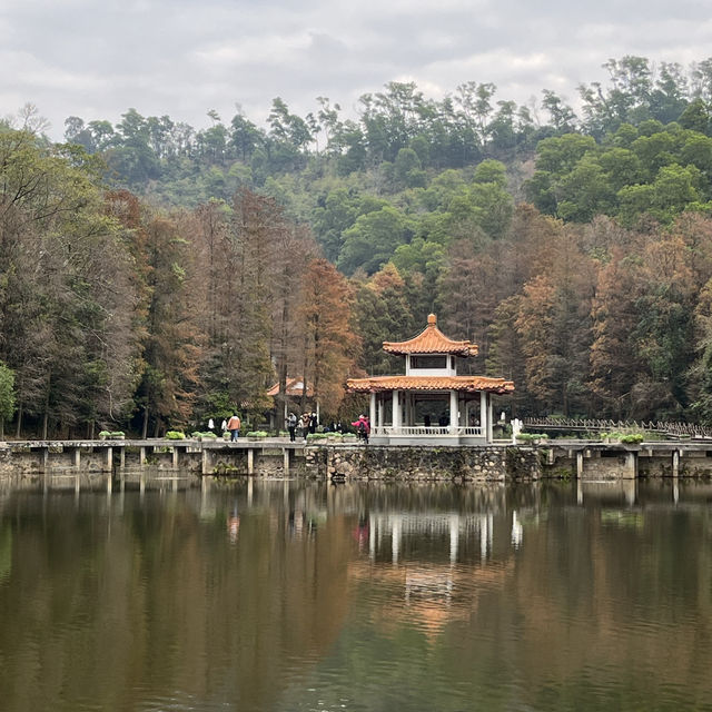 深圳仙湖植物園，愛花人士必到景點