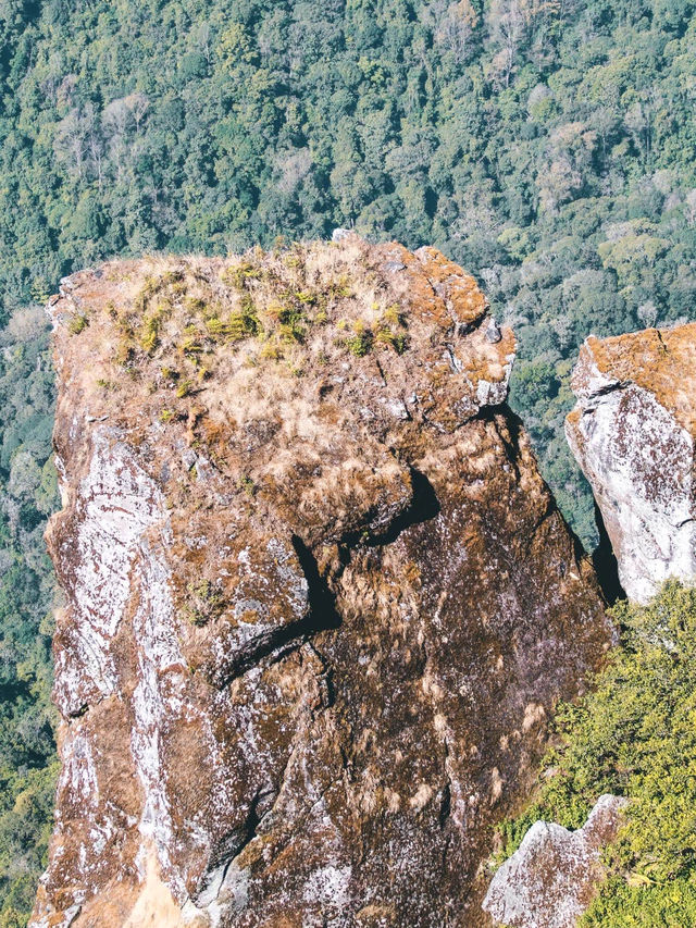 ดอยอินทนนท์ ⛰️🌲🌳🌱