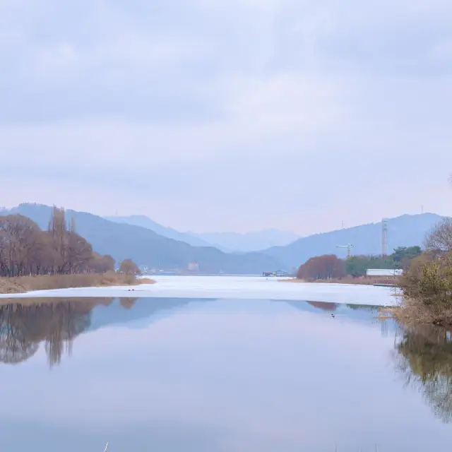 겨울 경치의 진수 자라섬