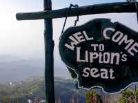 Lipton's seat...하푸탈레..