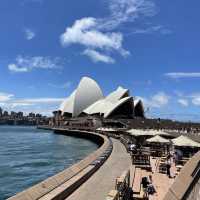 호주 시드니 하버브릿지 오페라하우스 기념품샵 둘러보기