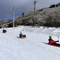 名古屋冬天限定樹冰與冰瀑，可滑雪玩雪撬