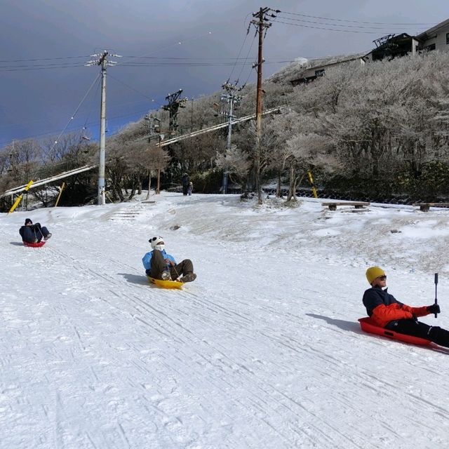 名古屋冬天限定樹冰與冰瀑，可滑雪玩雪撬