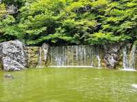 Tsurumi Ryokuchi Park