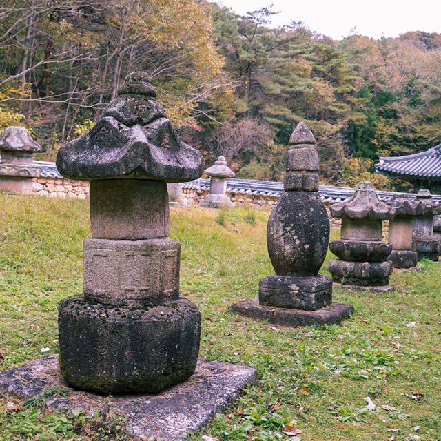 Wolchulsan Dogapsa Temple