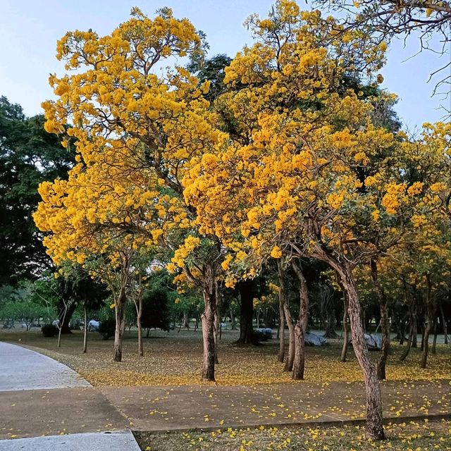 สวนพุทธมณฑล สาย4 