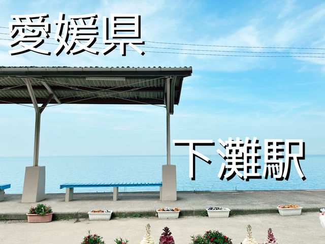 【下灘駅】愛媛旅行✈️