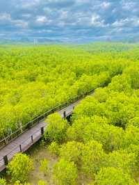 Pran Buri Forest Park 