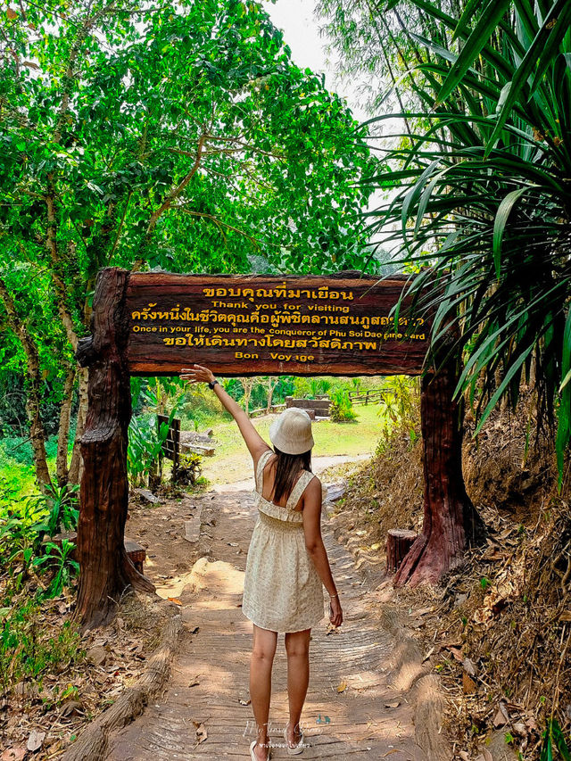 หนีร้อนเที่ยว น้ำตกภูสอยดาว 