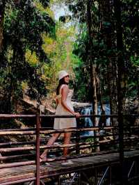 หนีร้อนเที่ยว น้ำตกภูสอยดาว 